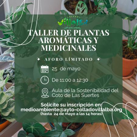 Taller de plantas aromáticas y medicinales