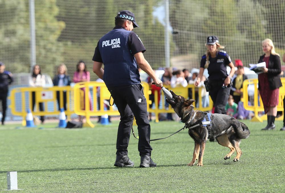 Imagen Más de 2.000 alumnos presencian la exhibición de unidades caninas y drones celebrada en la Ciudad Deportiva