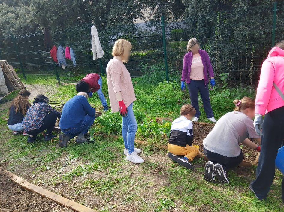 Imagen Continúan los talleres de las Aulas de Naturaleza de Collado Villalba durante el mes de noviembre