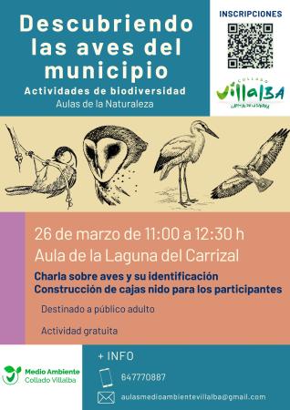 Imagen “Descubriendo las aves de Collado Villalba”, nueva actividad de las Aulas de Naturaleza