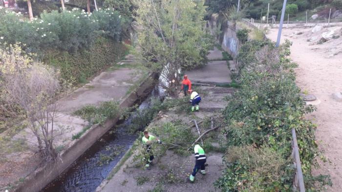Imagen El área de Medio Ambiente procede a la retirada de árboles en el cauce del río Guadarrama para prevenir inundaciones